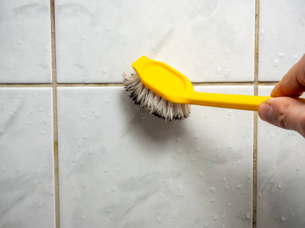 Best Emergency Mold Removal  in Hockinson, WA