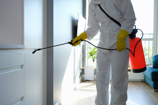 Best Toxic Mold Removal  in Hockinson, WA