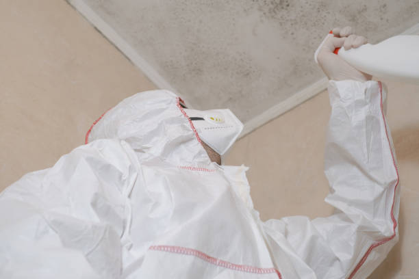 Best Certified Mold Removal  in Hockinson, WA